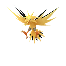 閃電鳥 - Male / Female