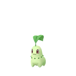 Endivie in Pokémon GO