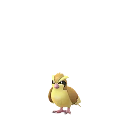 Pidgey em Pokémon GO