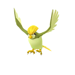 ポケモンGOのピジョン (いろちがい)
