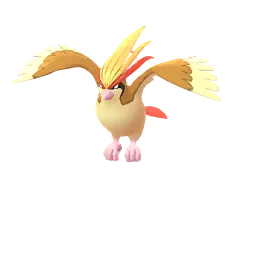 Pidgeot en Pokémon GO