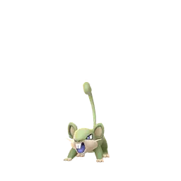 Rattata (Chromatiques, Femelle) dans Pokémon GO
