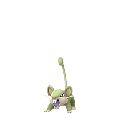 Rattata (Chromatiques, Mâle) dans Pokémon GO