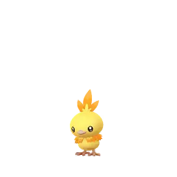 Poussifeu (Chromatiques, Mâle) dans Pokémon GO