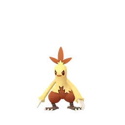 Combusken (Variocolor, Macho) en Pokémon GO