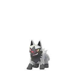 土狼犬 - Male / Female