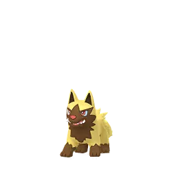 土狼犬 - Shiny Male / Female