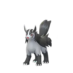 大狼犬 - Male / Female