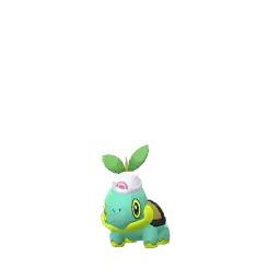 Тортвиг (Шапка Доун) (Сияющие) в Pokémon GO