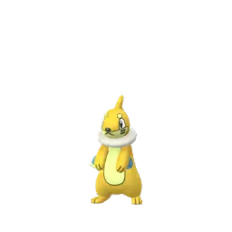 Buizel (Shiny, Male) in Pokémon GO