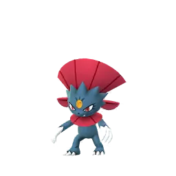 Weavile (Female) in Pokémon GO