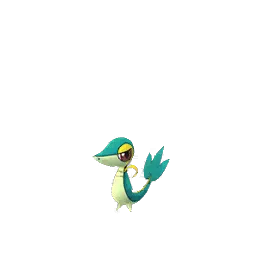 Serpifeu (Schillernd) in Pokémon GO