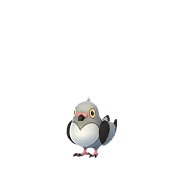Pidove en Pokémon GO