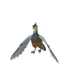 《Pokémon GO》中的高傲雉雞 (雌性)
