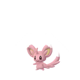 Minccino (Shiny) in Pokémon GO