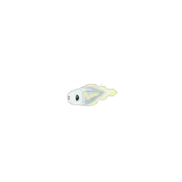ポケモンGOのシビシラス