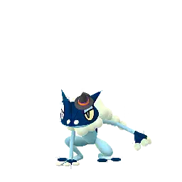 Frogadier (Cappello da strega) (Cromatici) in Pokémon GO