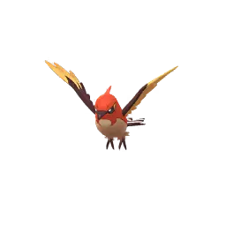 Fletchinder (Cromatici) in Pokémon GO