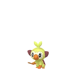 Grookey (Cromatici) in Pokémon GO