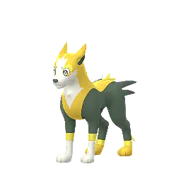 Boltund em Pokémon GO