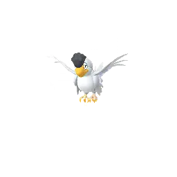 Squawkabilly (White Plumage) in Pokémon GO