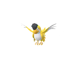 Squawkabilly (Yellow Plumage) in Pokémon GO